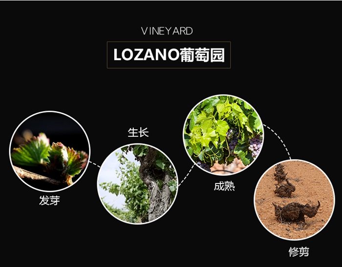上海禮品